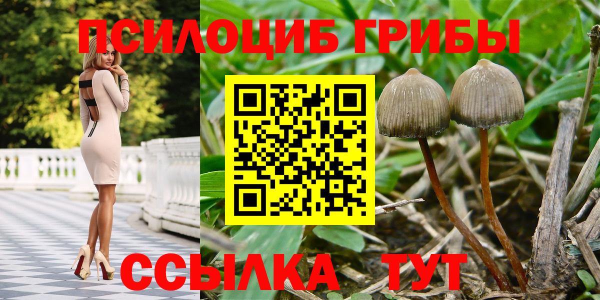 Псилоцибиновые грибы MAGIC MUSHROOMS Ханты-Мансийск